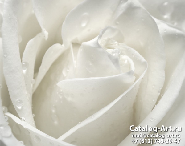 Натяжные потолки с фотопечатью - Белые розы 30